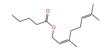 (Z)-3,7-Dimethyl-2,6-octadienyl pentanoate